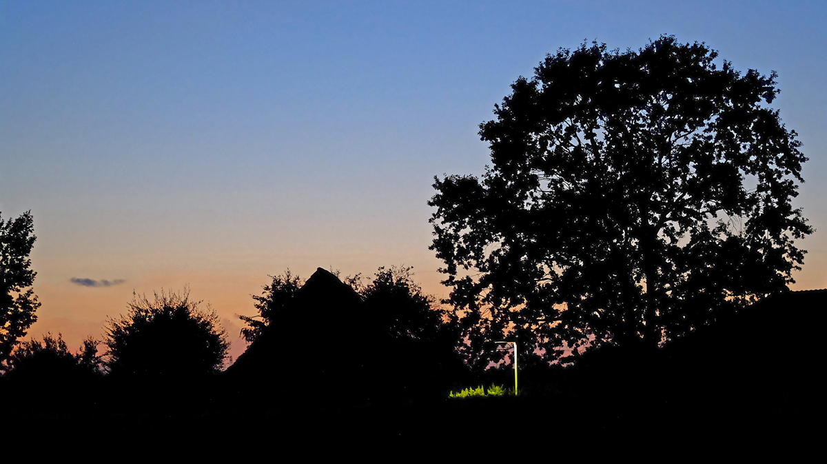 DSCF2275P_Dxo_xl.jpg