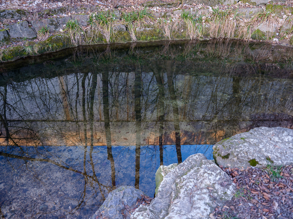 DSCF2482.jpg