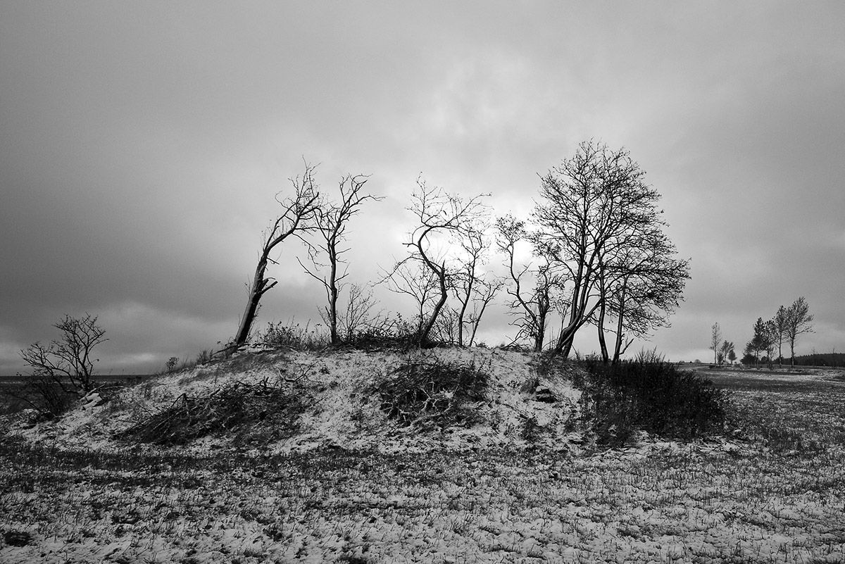 DSCF2498.jpg