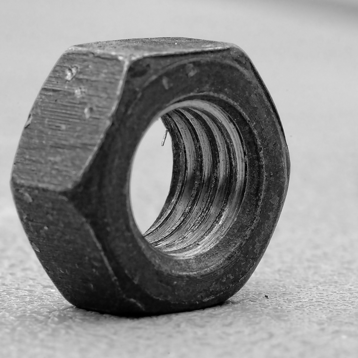 DSCF2541AQSWxl.jpg