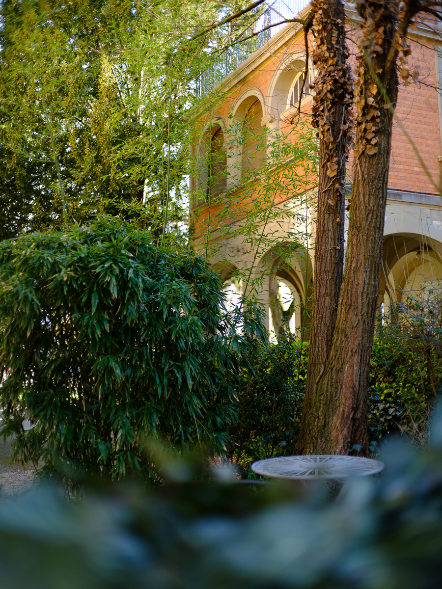 DSCF2656.jpg