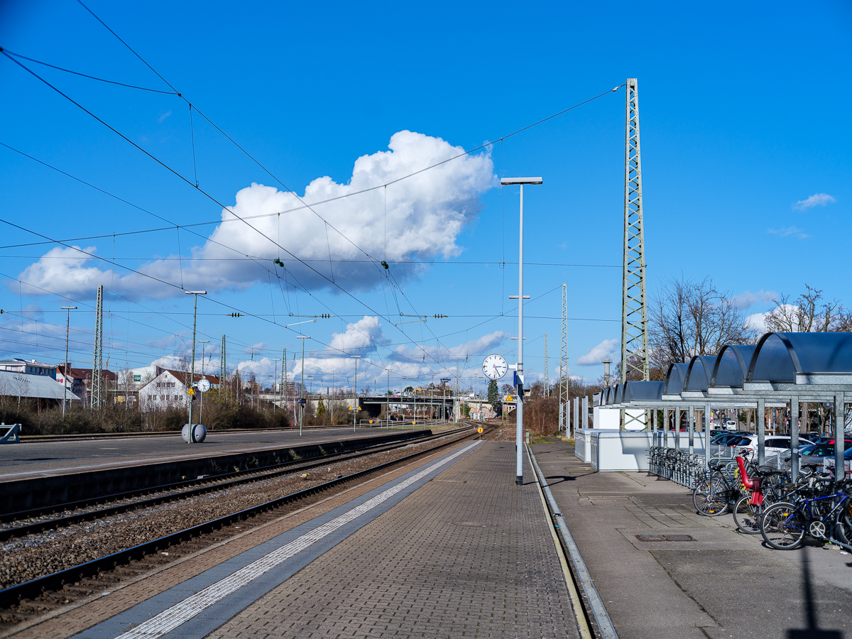 DSCF2679.jpg