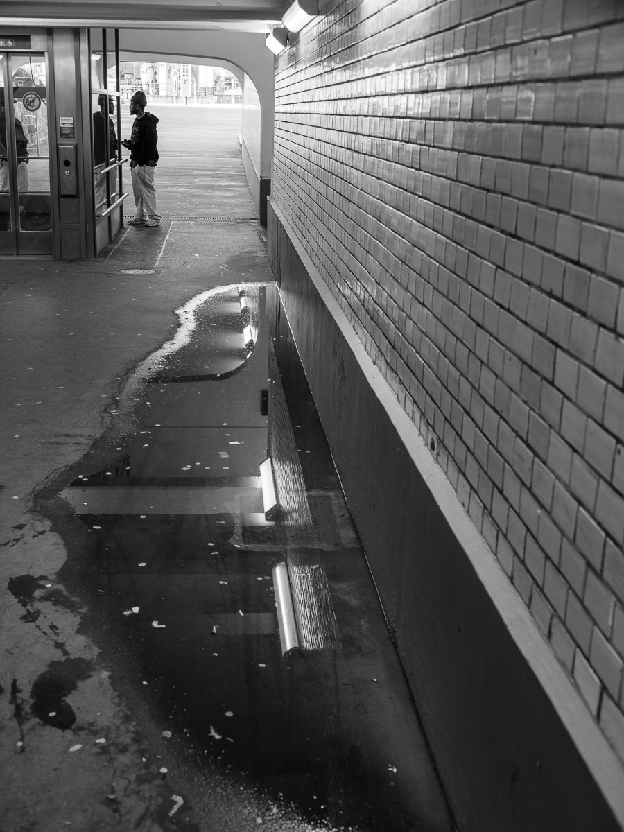 DSCF2681.jpg