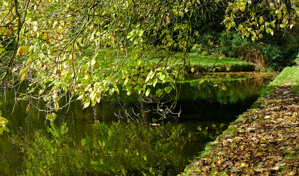 DSCF2735KPxl.jpg