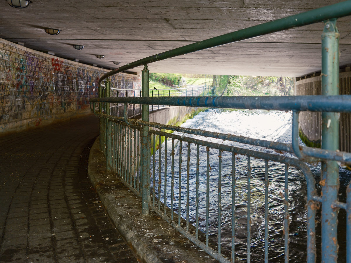 DSCF2935.jpg