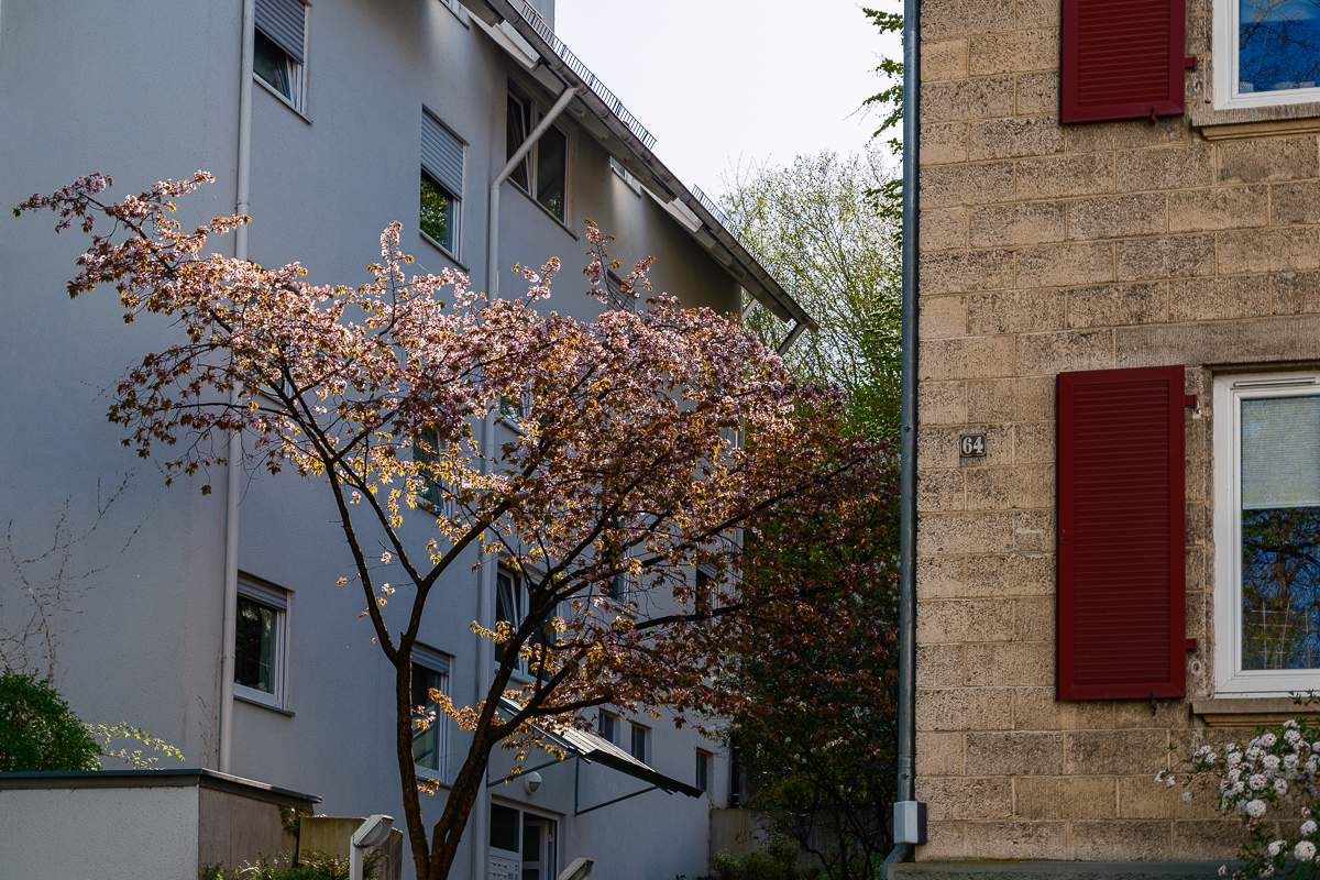 DSCF2940.jpg