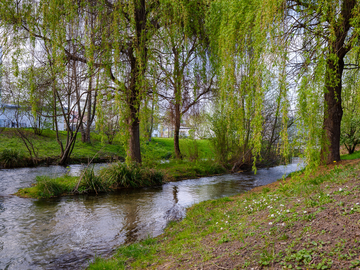 DSCF2973.jpg