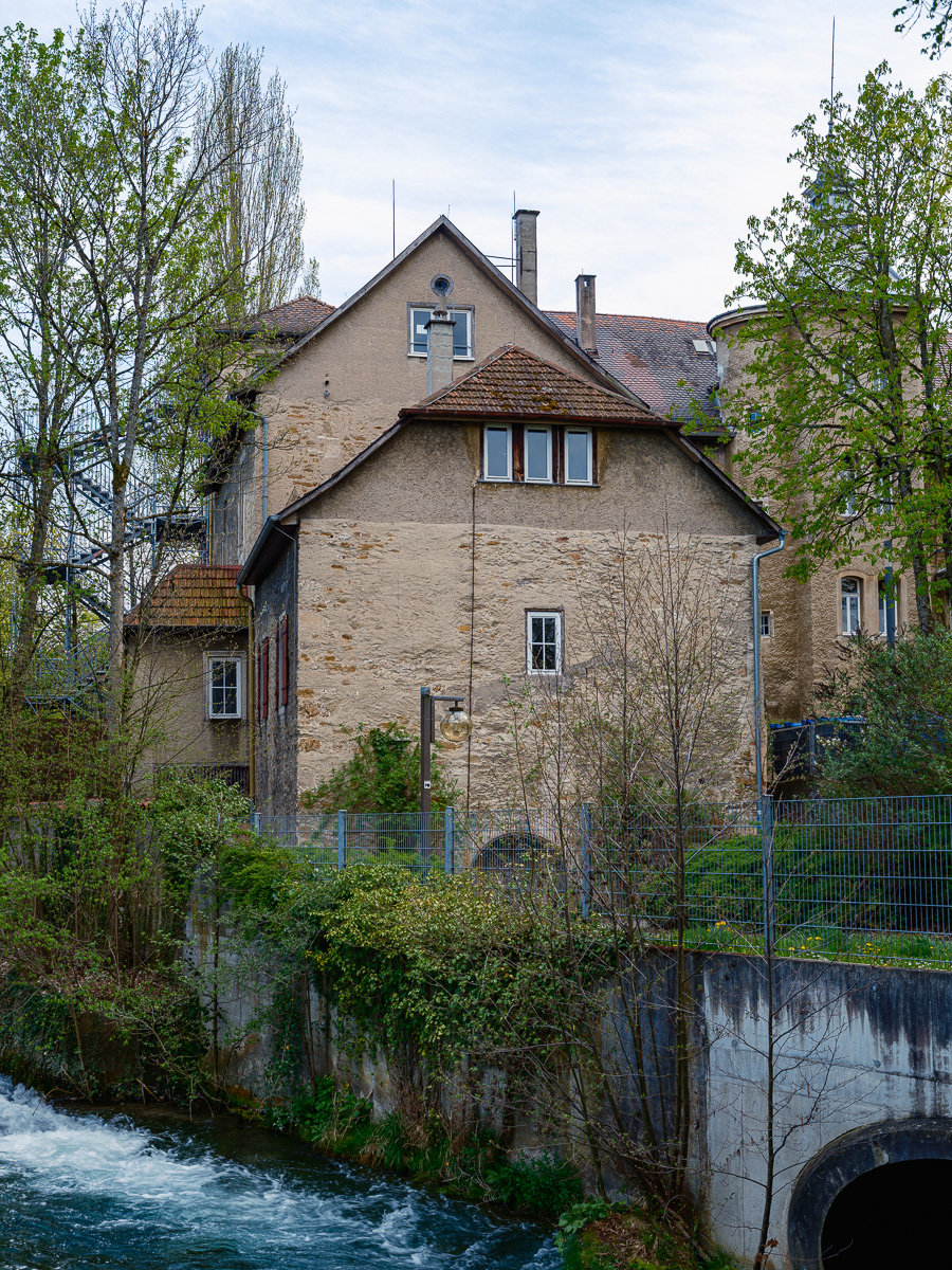 DSCF2978.jpg
