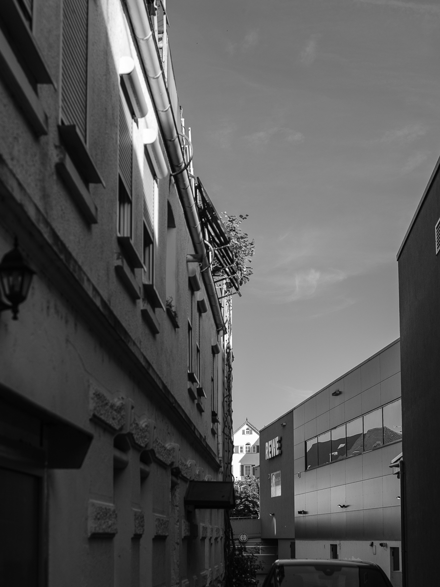 DSCF3111.jpg