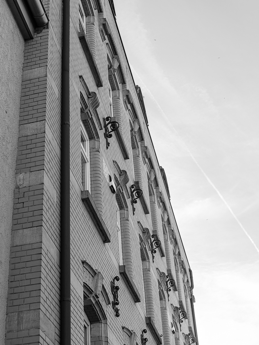 DSCF3113-2.jpg