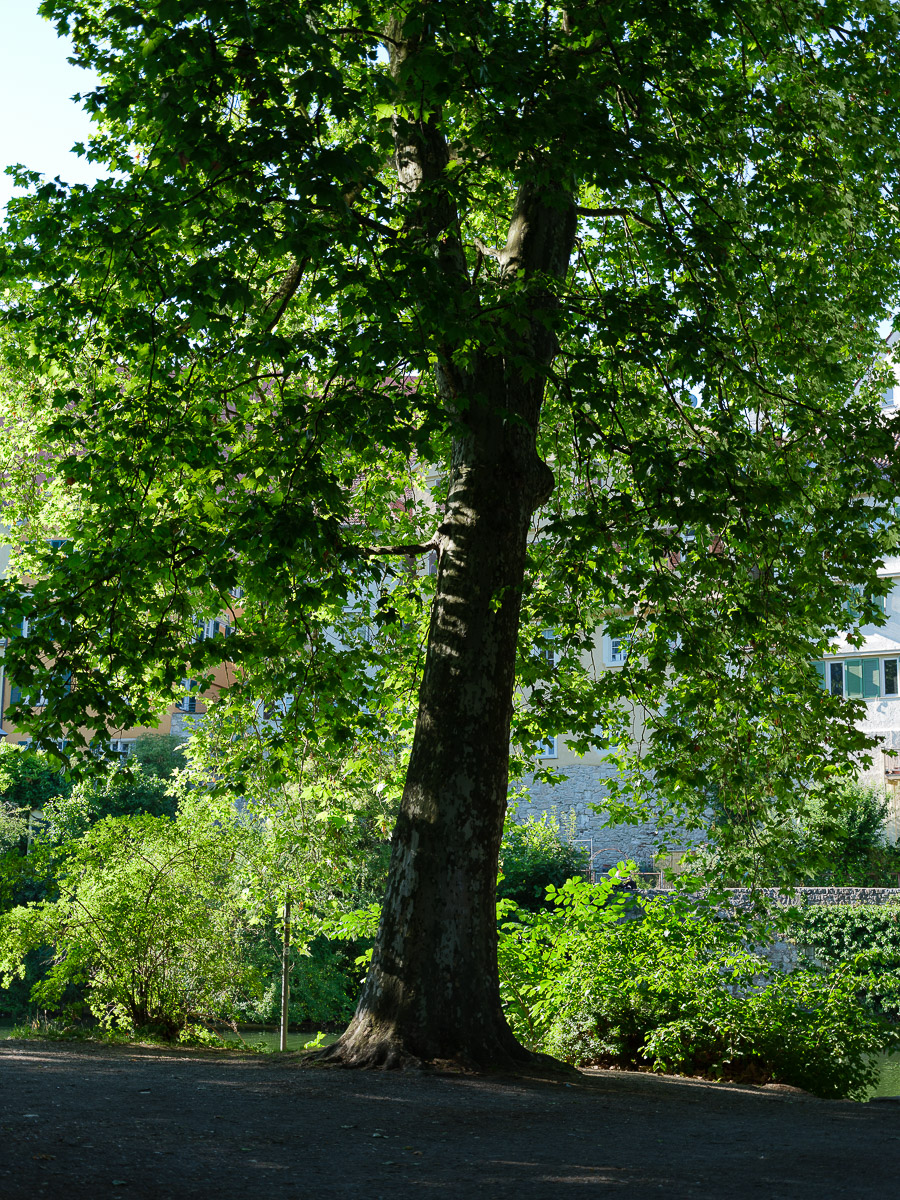 DSCF3157.jpg