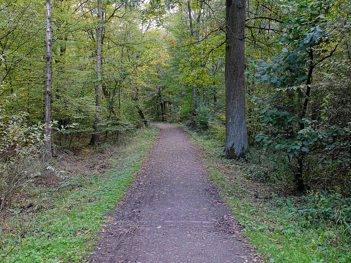 DSCF3316Sxl.jpg