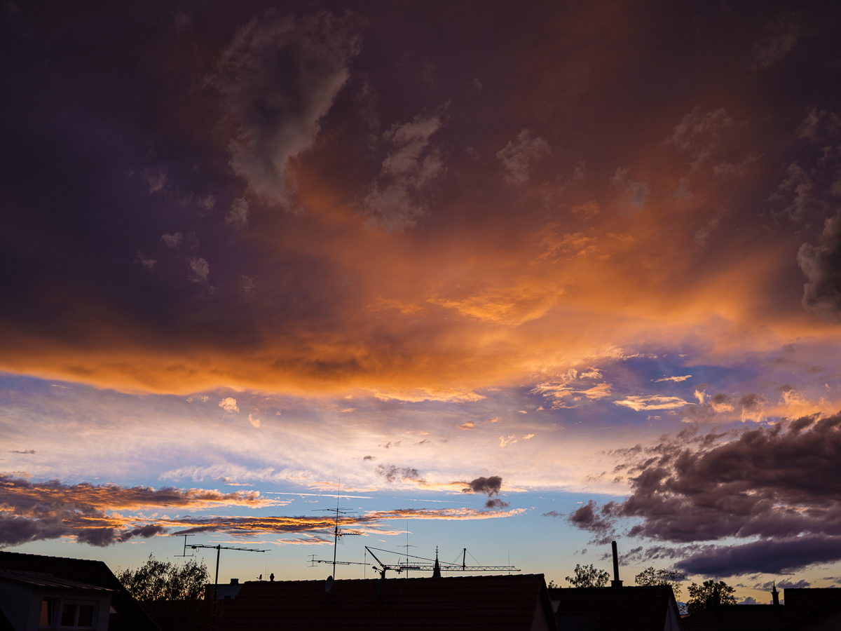 DSCF3327.jpg