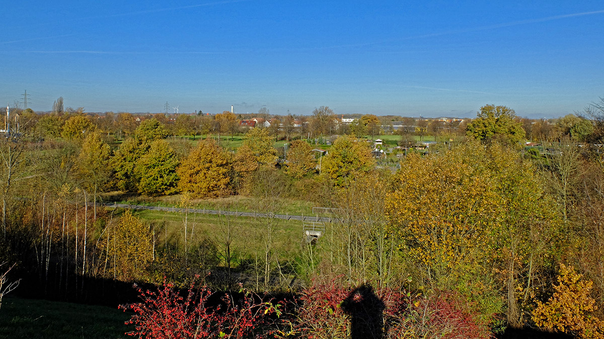 DSCF3368Pxl.jpg