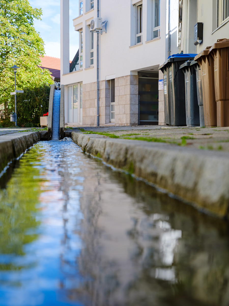 DSCF3385.jpg