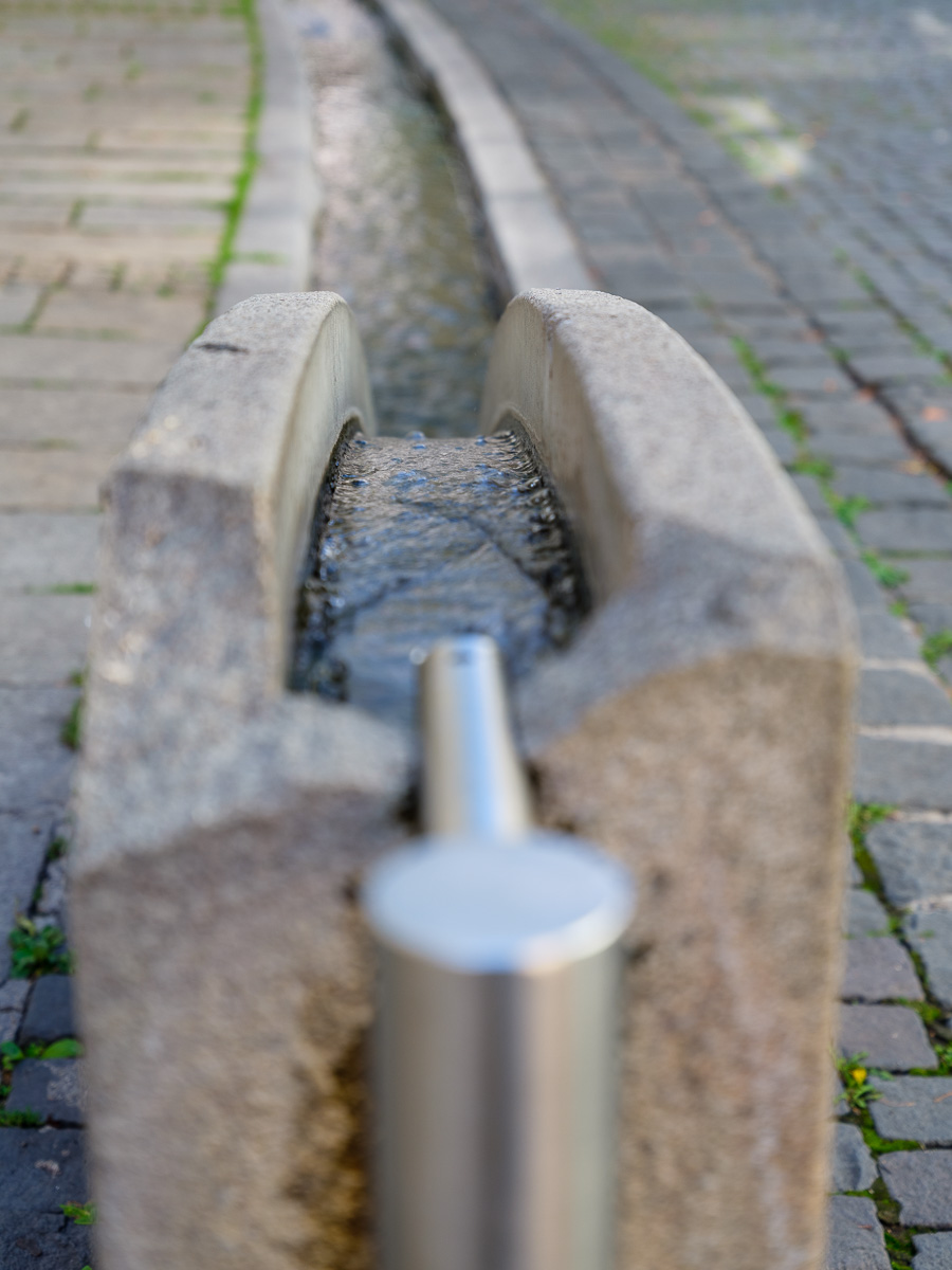 DSCF3388.jpg