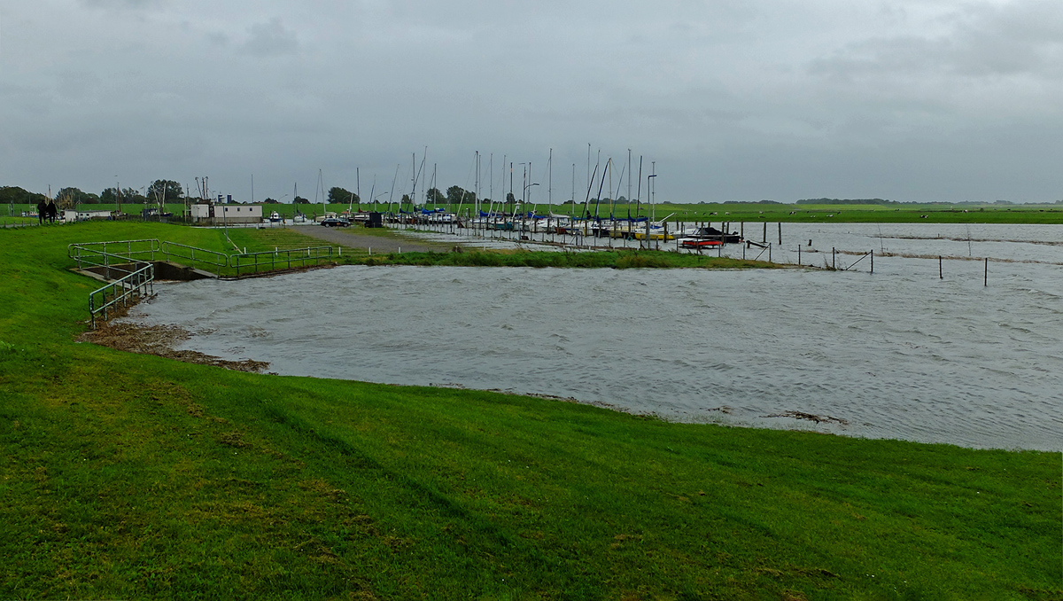 DSCF3397PAxl.jpg