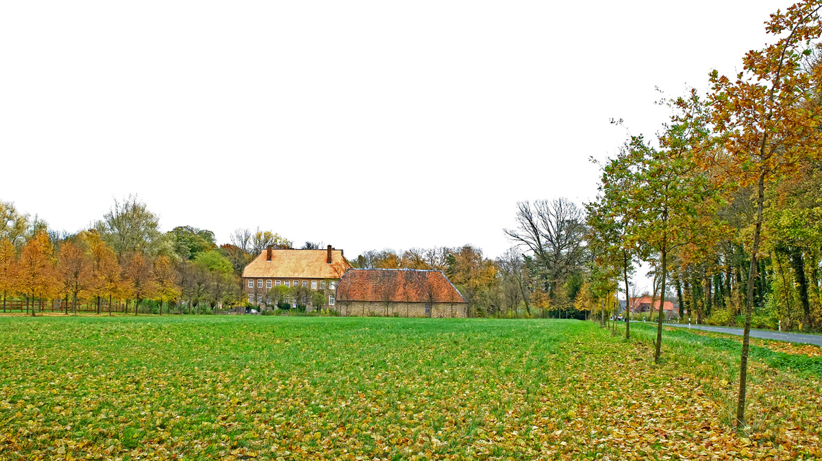 DSCF3412KPAxl.jpg