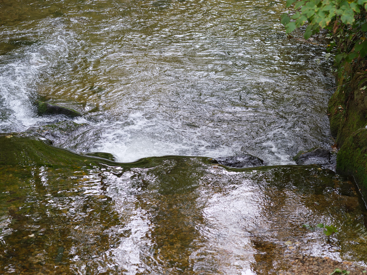 DSCF3506.jpg