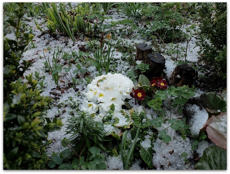 DSCF3812, 20140324
Hagelschauer
Fuji X20