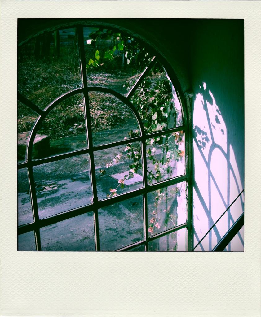 DSCF3979 vs1 pola