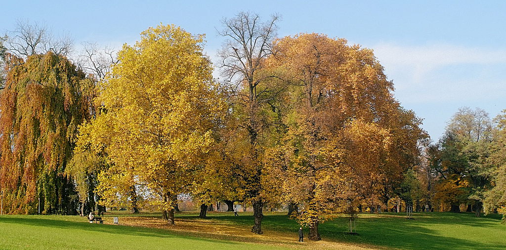 DSCF4391