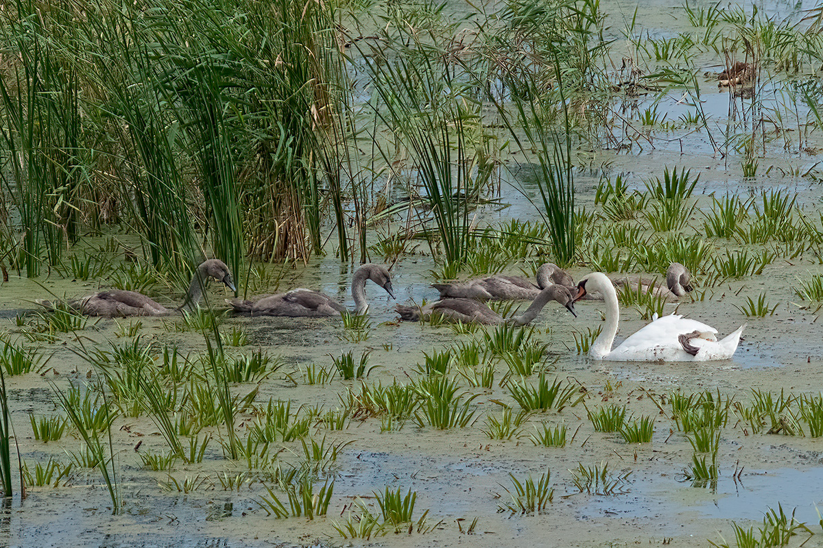 DSCF4672.jpg