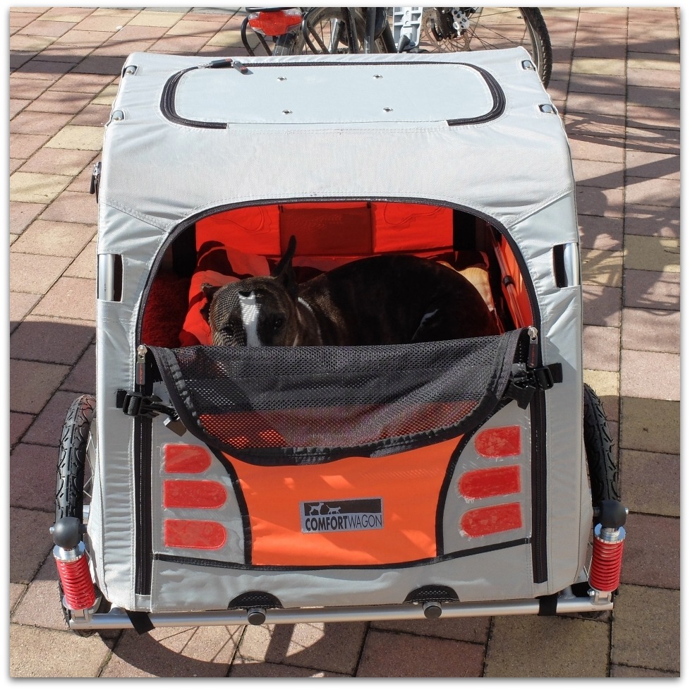 DSCF5358, 20150403
"Schweinetransporter"
Fujifilm X20