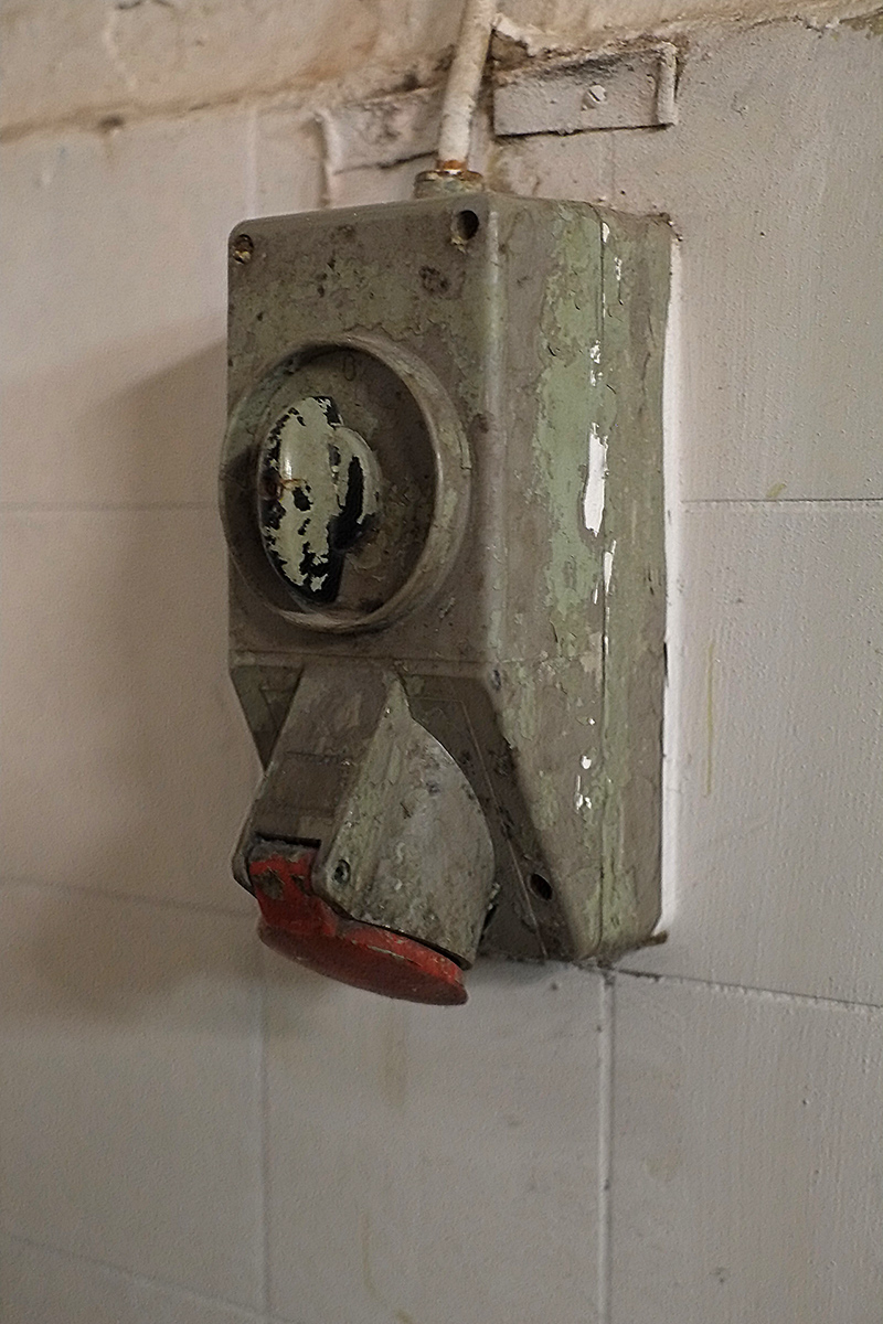DSCF6105Sxl.jpg