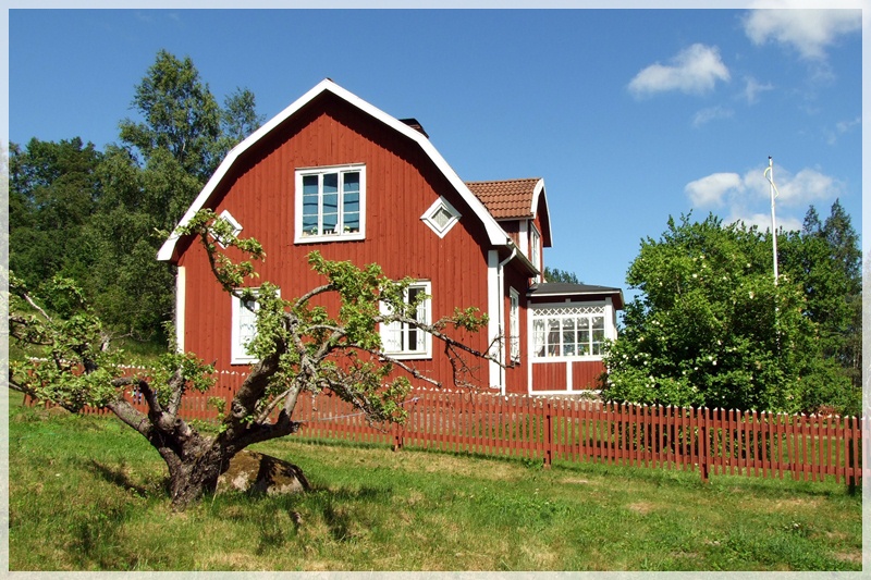 DSCF6269