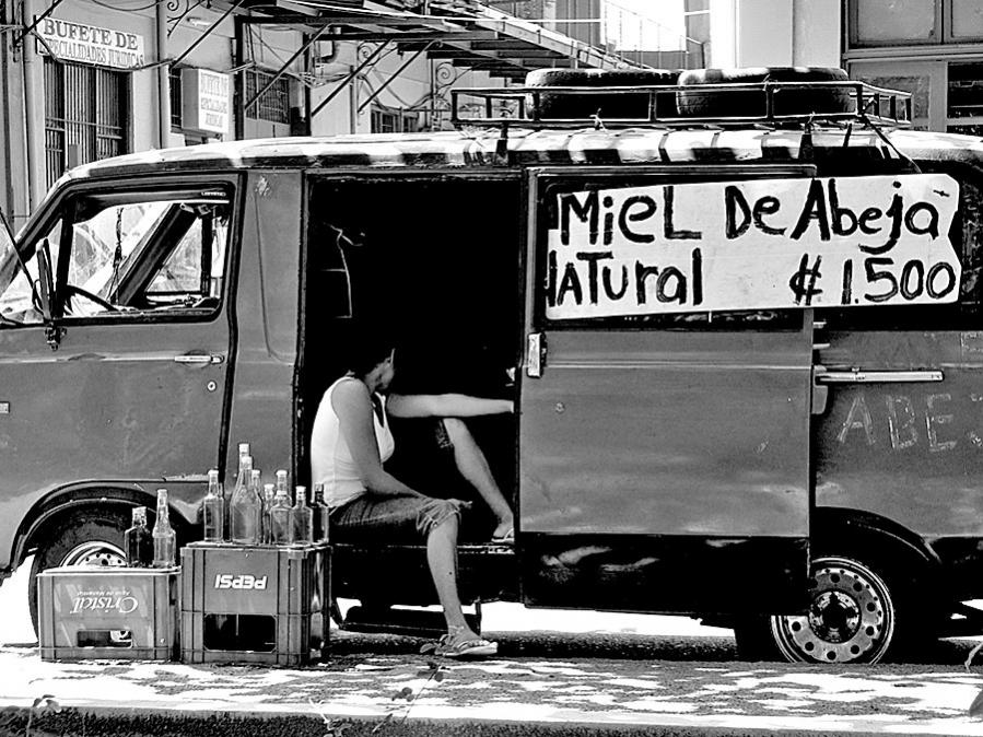 DSCF6278bw 01