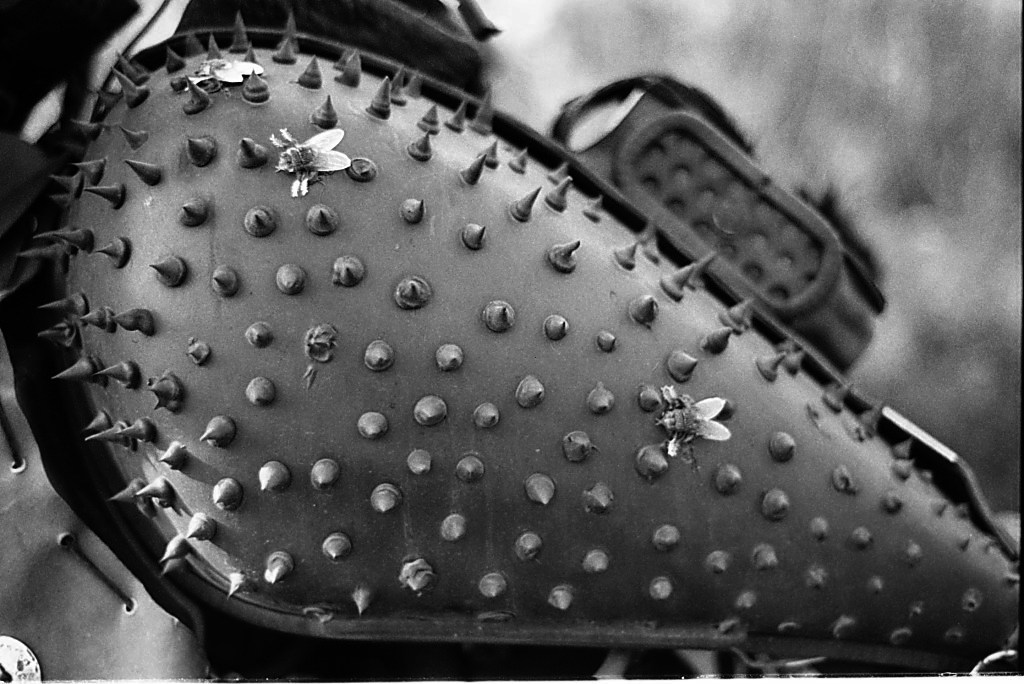 dscf9155bw