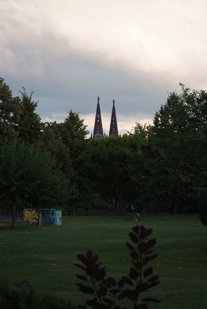 DSCF9743