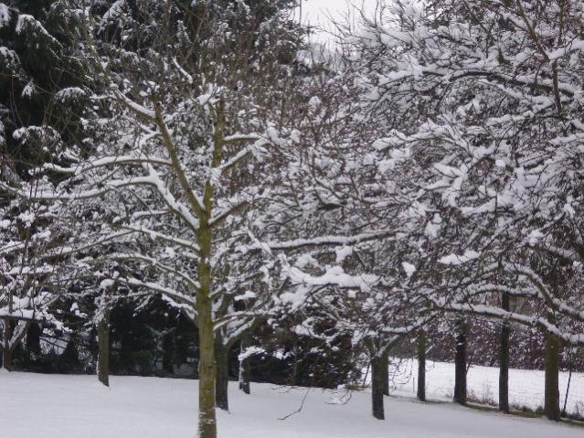 DSCI0010
