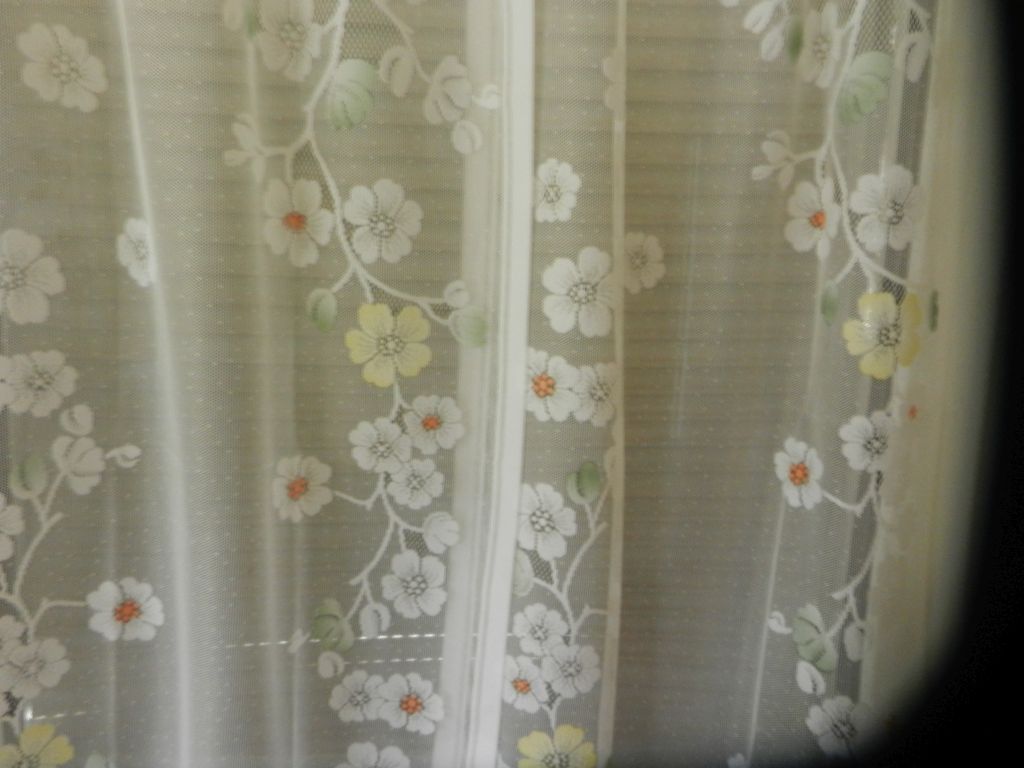 DSCN0001 1
