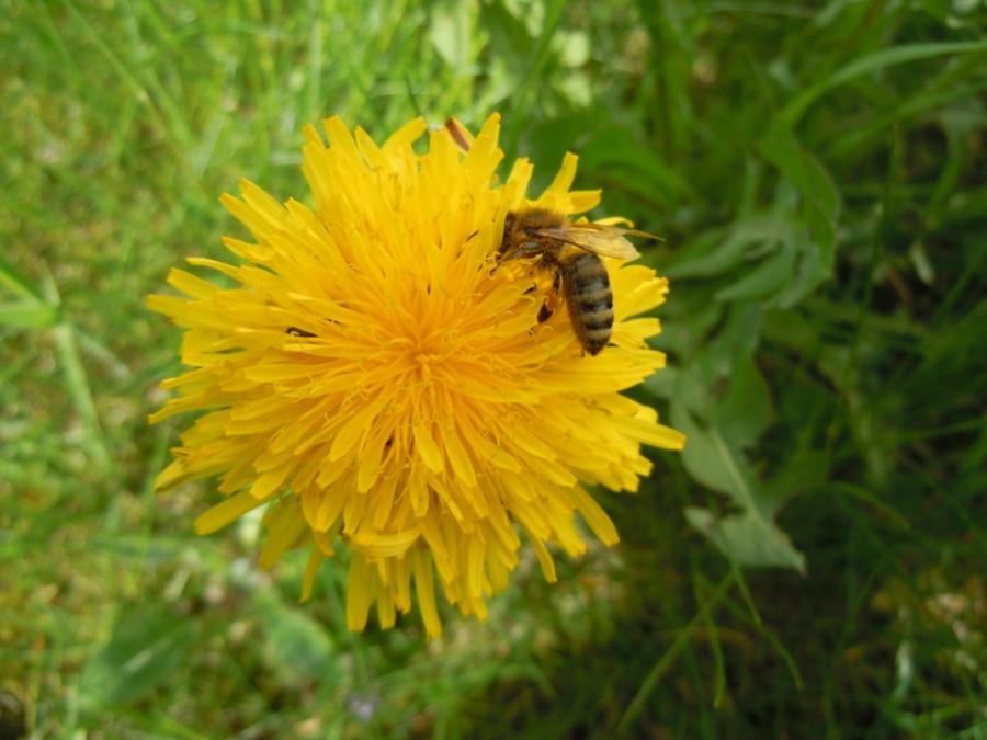 DSCN0188a
