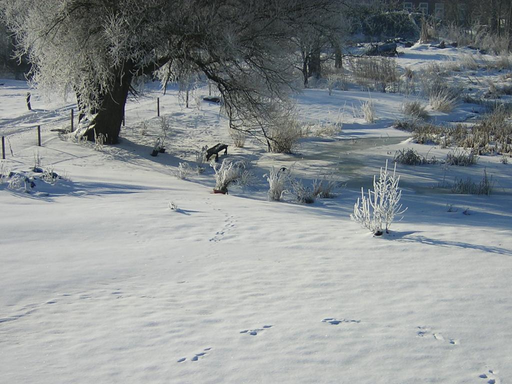 DSCN0252