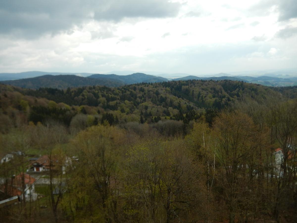 DSCN0381 1