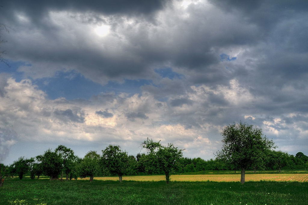 DSCN0402hdr