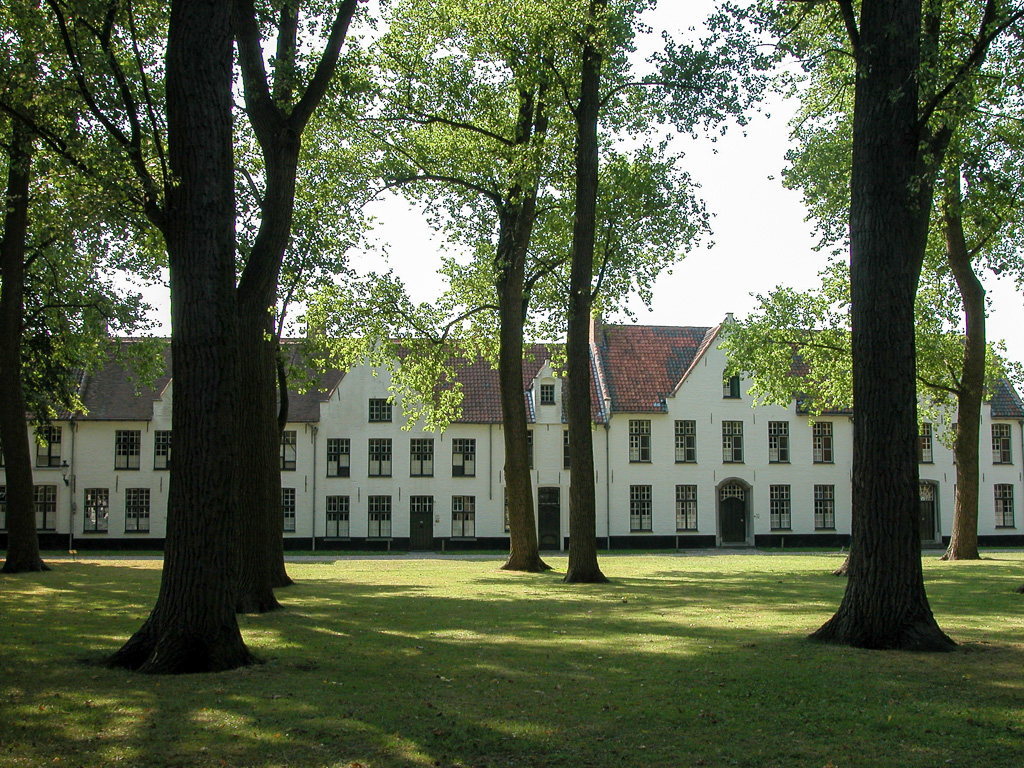 DSCN0638-1.jpg