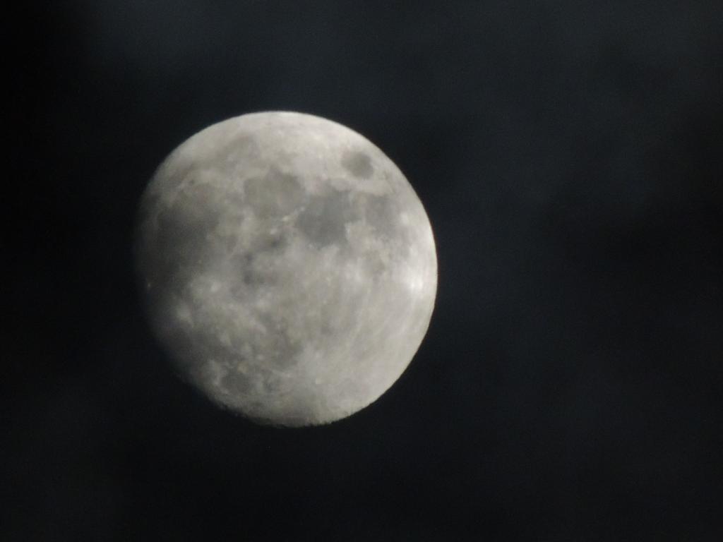 DSCN0789