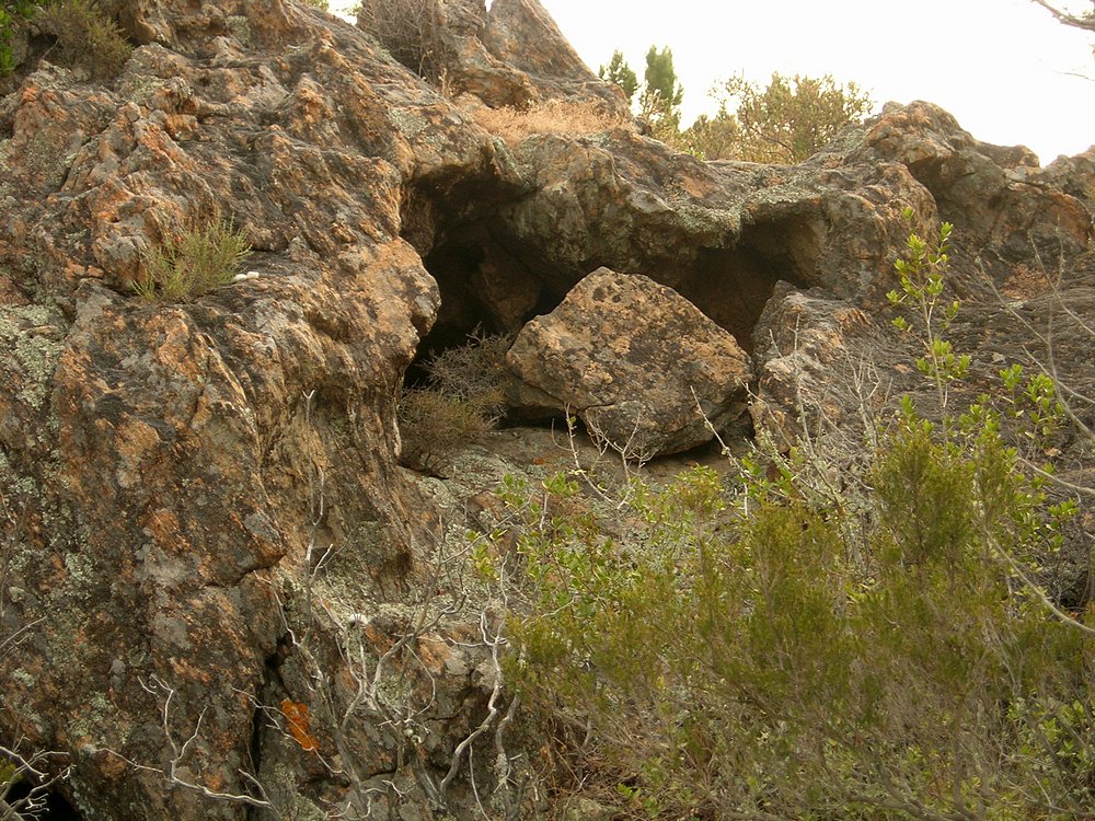 DSCN0997