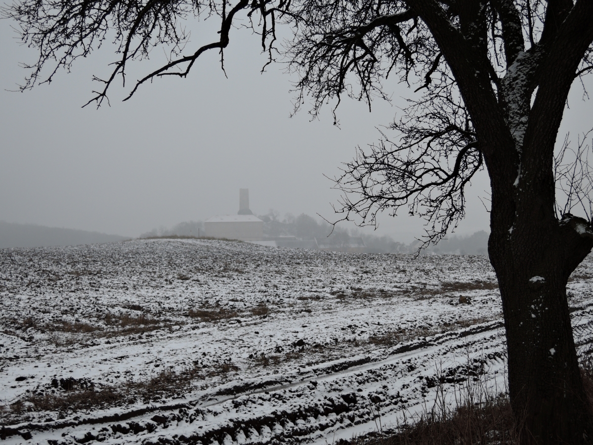 DSCN1561n.JPG