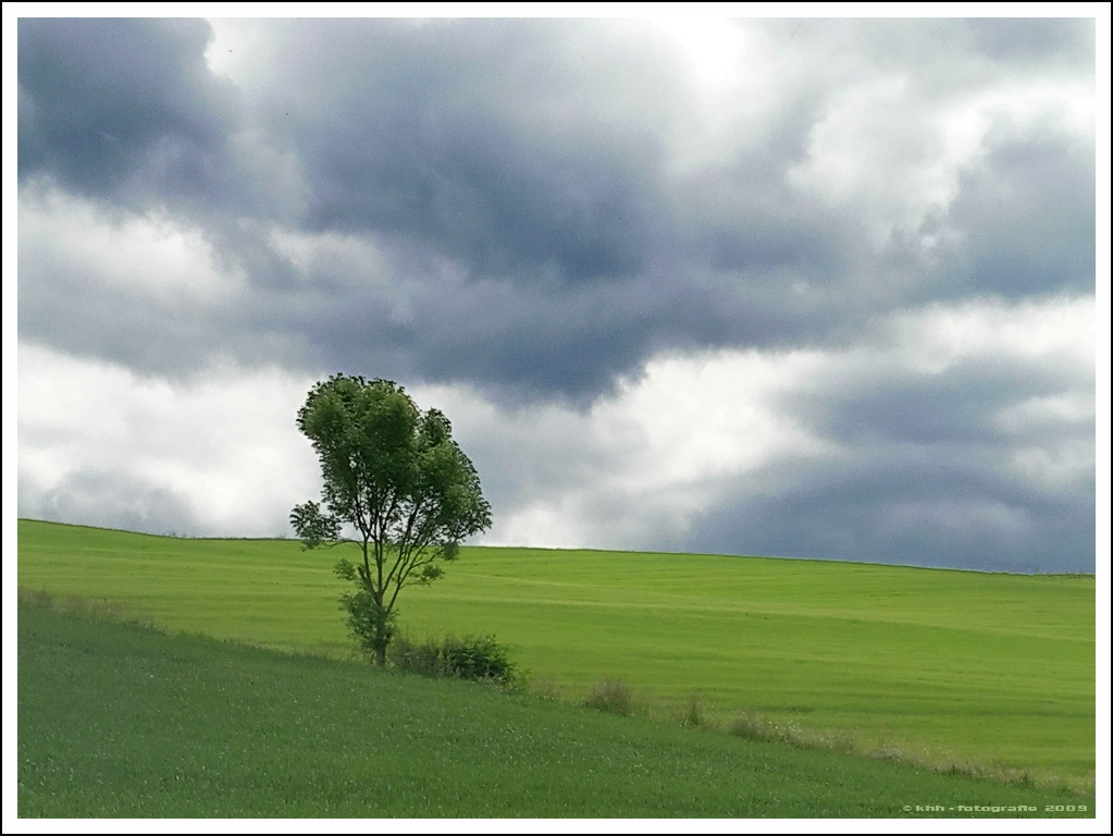 DSCN1885