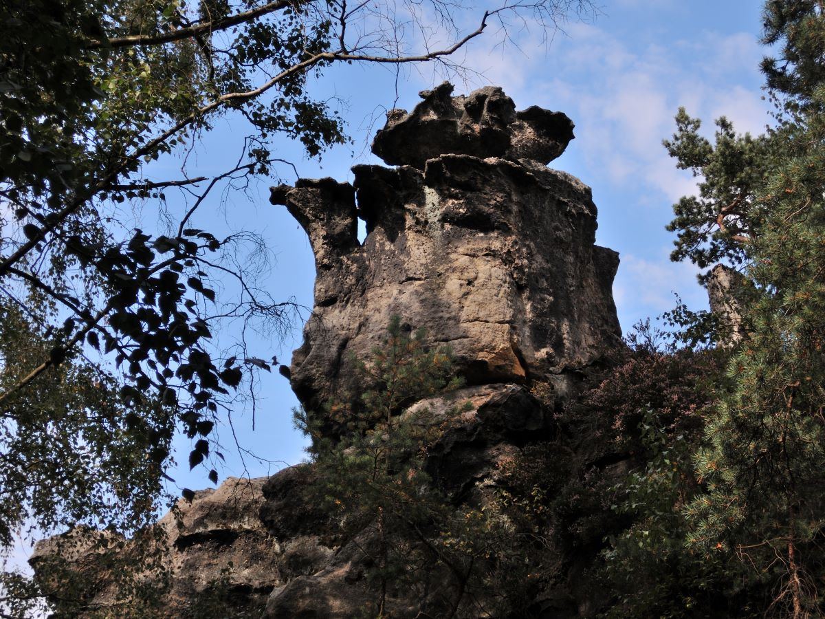 DSCN2058n.jpg