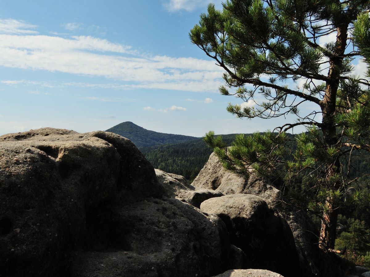DSCN2069n.jpg
