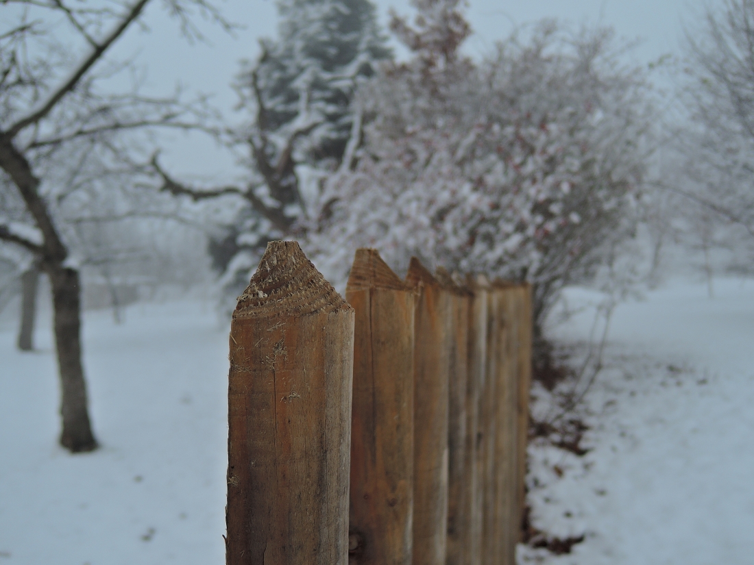 DSCN2968n.JPG