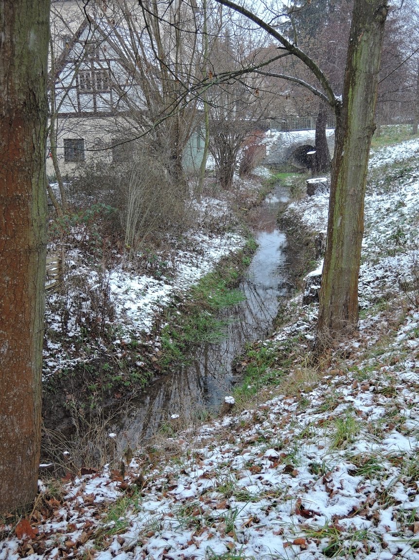 DSCN2994n.JPG