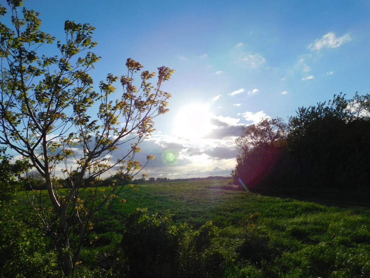 DSCN3161 20180430 191109 011