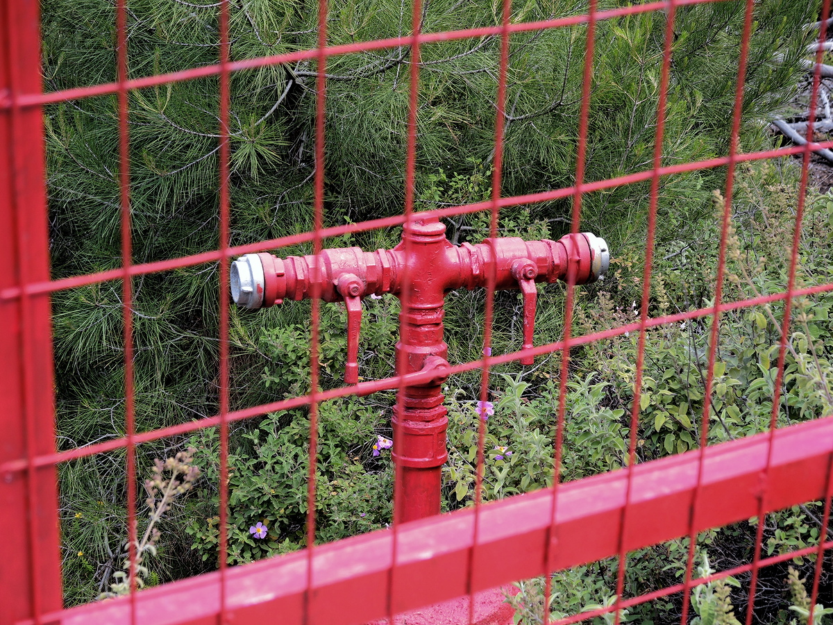 DSCN3211-rt.jpeg